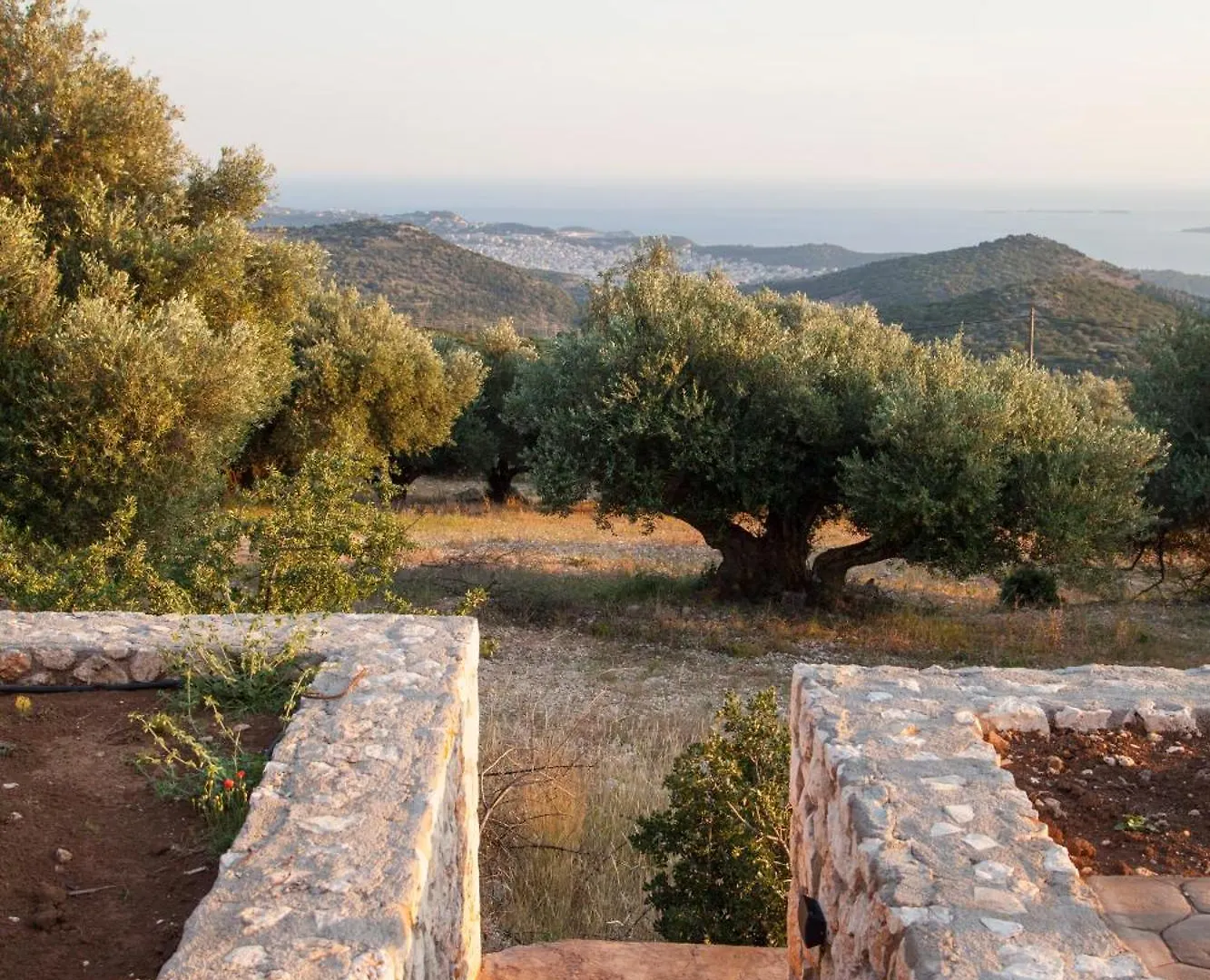 Villa Anthodesmi Dilináta 그리스